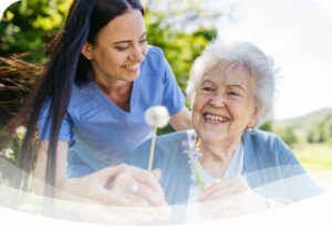 accent-image-outdoor-companion