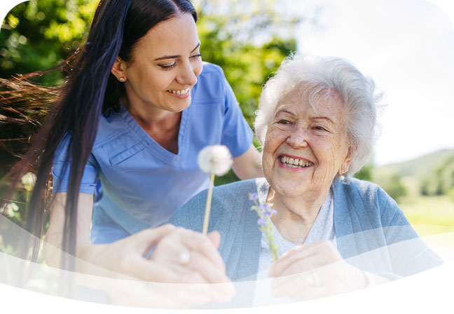 accent-image-outdoor-companion